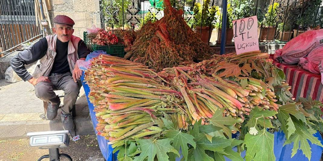 Şifası dilden dile dolanıyor, kendisi zor bulunuyor! Bu bitki tezgahta dakikalar içinde tükeniyor… 2